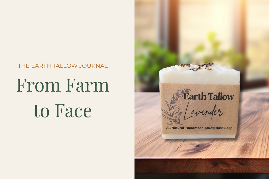From Farm to Face: How Earth Tallow Supports Sustainable Beauty