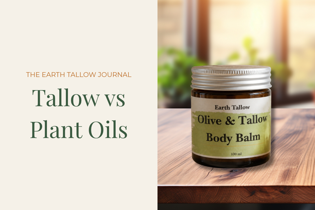 Tallow vs. Plant Oils: What's the Difference for Your Skin?